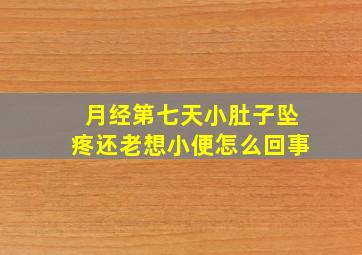 月经第七天小肚子坠疼还老想小便怎么回事