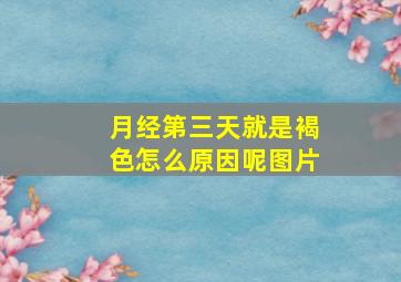 月经第三天就是褐色怎么原因呢图片