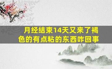 月经结束14天又来了褐色的有点粘的东西咋回事