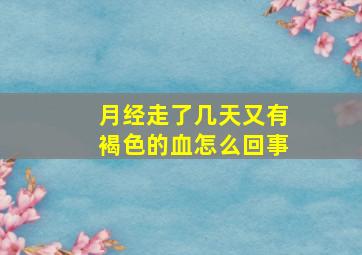 月经走了几天又有褐色的血怎么回事