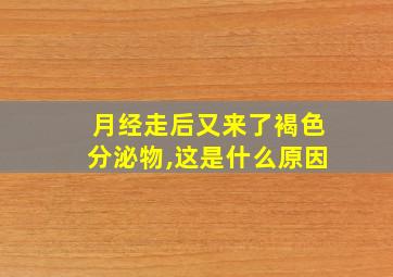 月经走后又来了褐色分泌物,这是什么原因