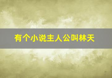 有个小说主人公叫林天