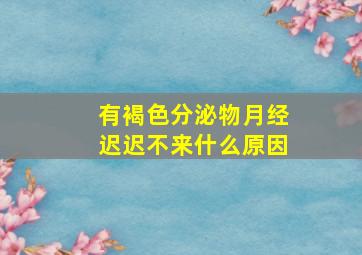 有褐色分泌物月经迟迟不来什么原因