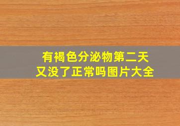 有褐色分泌物第二天又没了正常吗图片大全