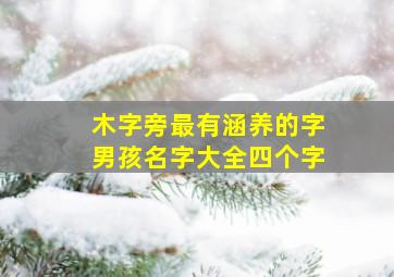 木字旁最有涵养的字男孩名字大全四个字