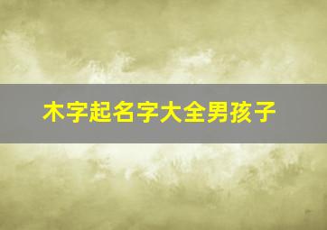 木字起名字大全男孩子