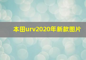 本田urv2020年新款图片