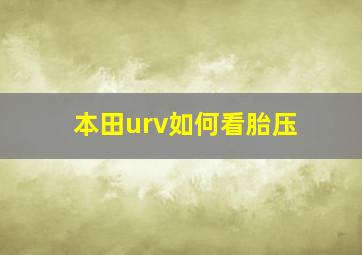 本田urv如何看胎压