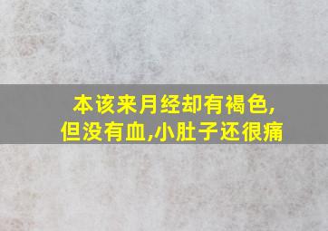 本该来月经却有褐色,但没有血,小肚子还很痛