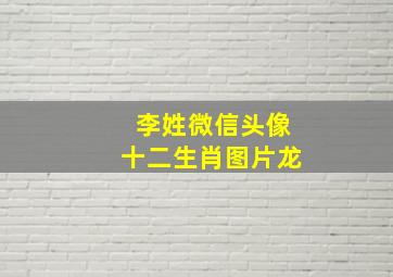 李姓微信头像十二生肖图片龙