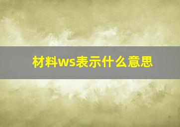 材料ws表示什么意思