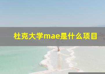 杜克大学mae是什么项目