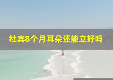 杜宾8个月耳朵还能立好吗