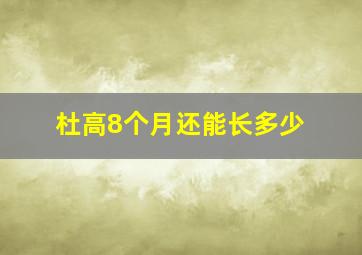 杜高8个月还能长多少