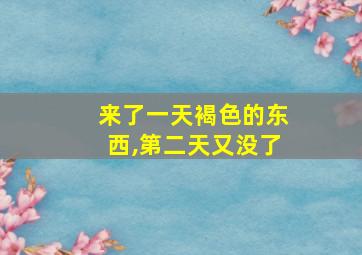 来了一天褐色的东西,第二天又没了