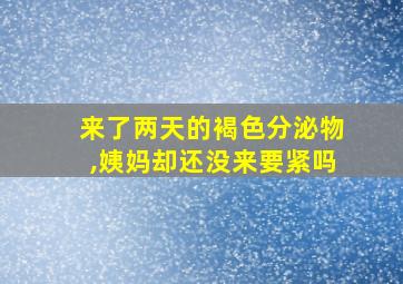 来了两天的褐色分泌物,姨妈却还没来要紧吗