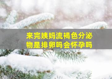 来完姨妈流褐色分泌物是排卵吗会怀孕吗