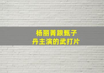 杨丽菁跟甄子丹主演的武打片