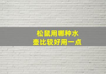 松鼠用哪种水壶比较好用一点