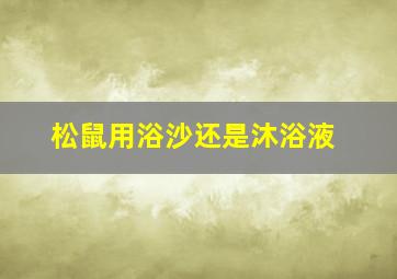 松鼠用浴沙还是沐浴液