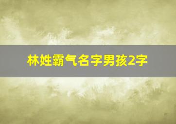 林姓霸气名字男孩2字