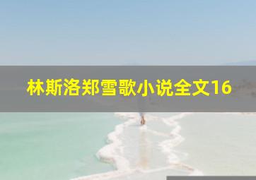 林斯洛郑雪歌小说全文16