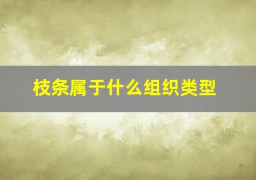 枝条属于什么组织类型