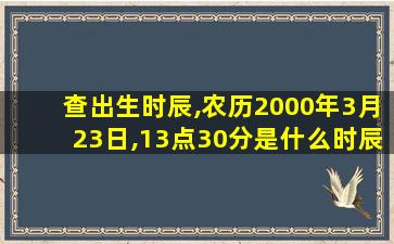 查出生时辰,农历2000年3月23日,13点30分是什么时辰