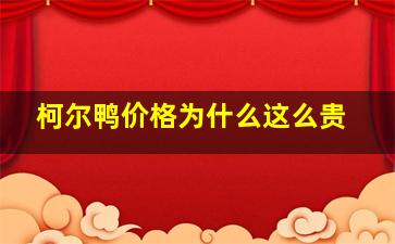 柯尔鸭价格为什么这么贵