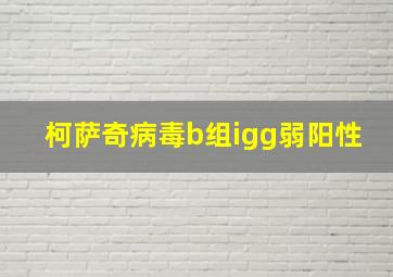 柯萨奇病毒b组igg弱阳性