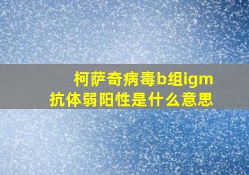 柯萨奇病毒b组igm抗体弱阳性是什么意思