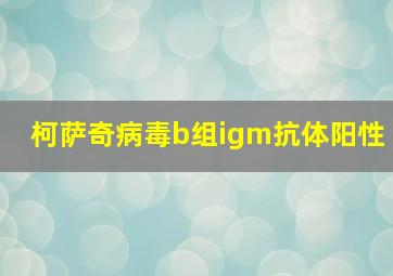 柯萨奇病毒b组igm抗体阳性