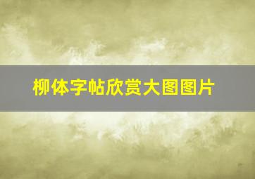 柳体字帖欣赏大图图片