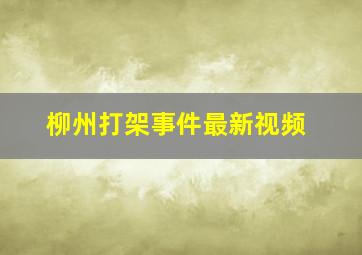 柳州打架事件最新视频