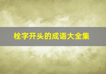 栓字开头的成语大全集