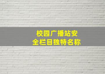 校园广播站安全栏目独特名称