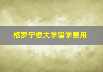 格罗宁根大学留学费用