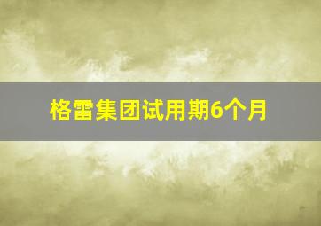 格雷集团试用期6个月