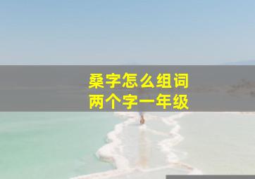 桑字怎么组词两个字一年级