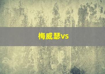 梅威瑟vs