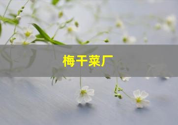 梅干菜厂