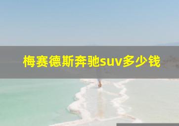 梅赛德斯奔驰suv多少钱