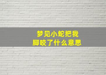 梦见小蛇把我脚咬了什么意思