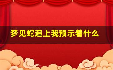 梦见蛇追上我预示着什么