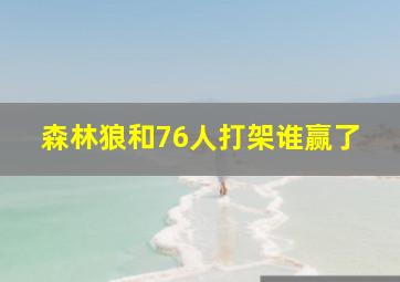 森林狼和76人打架谁赢了