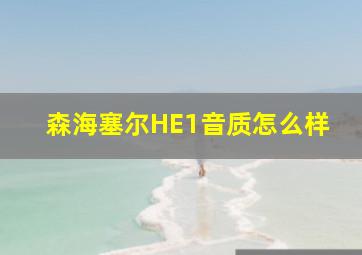 森海塞尔HE1音质怎么样