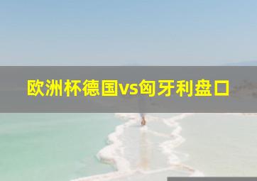 欧洲杯德国vs匈牙利盘口