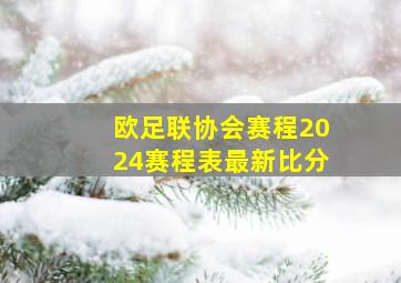 欧足联协会赛程2024赛程表最新比分