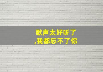 歌声太好听了,我都忘不了你