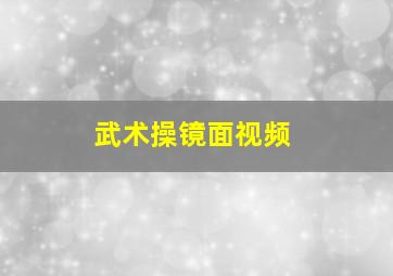 武术操镜面视频